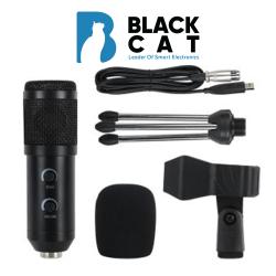 Wireless microphone (hand + base), normal hand or clip