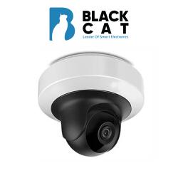 4MP WDR Mini PT Network Camera