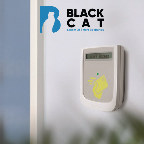 Access Point | Black Cat